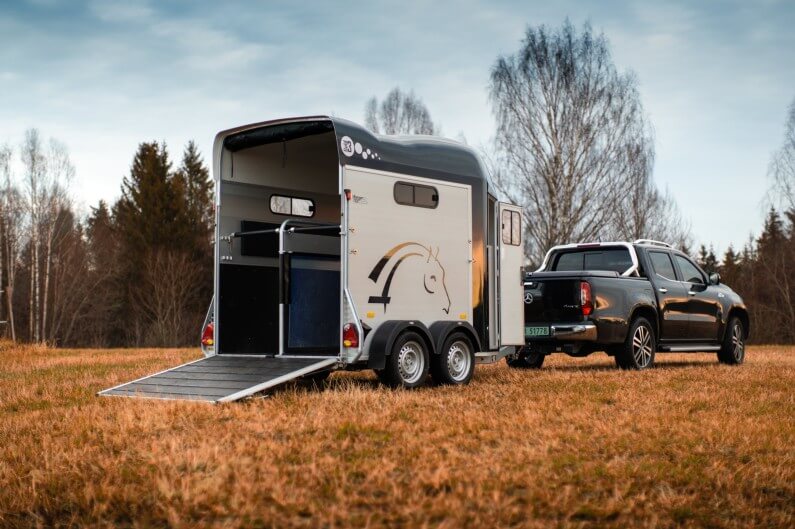 Cheval Liberté Gold 3 hestehenger