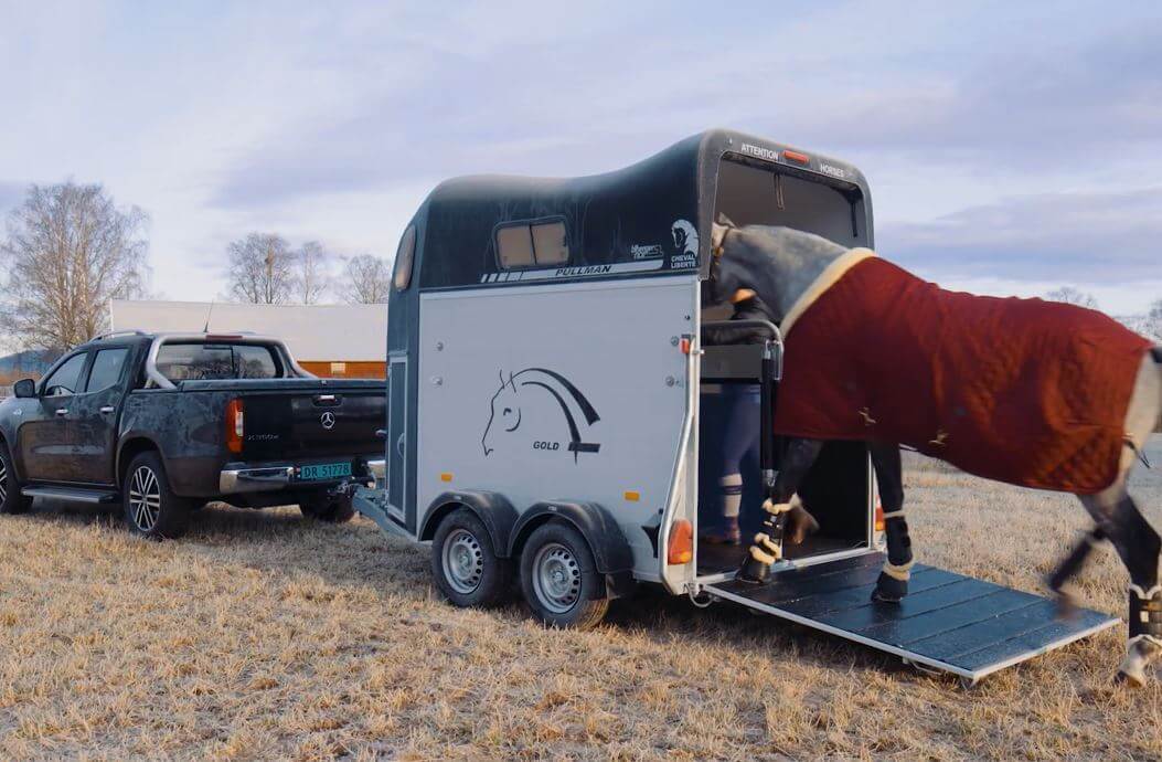 Cheval Liberté Gold II hestehenger