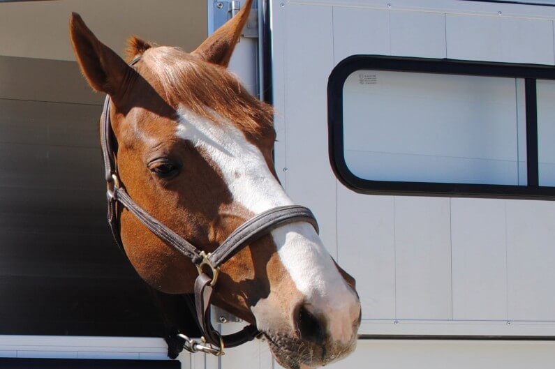 Cheval Liberté Touring hestehenger