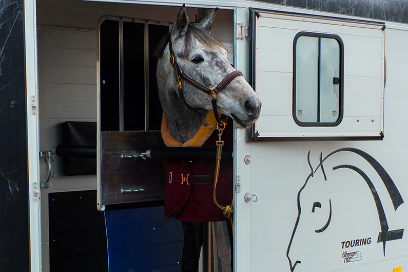 Cheval Liberte Touring Country