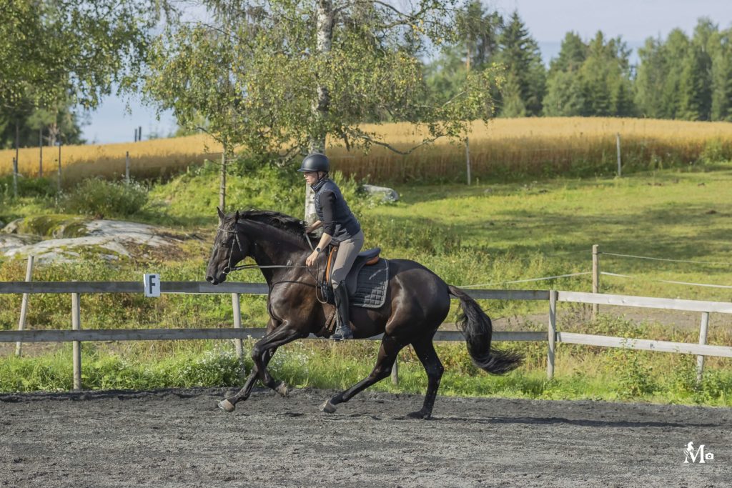 Kvalitetshengere fra Tilhengernor