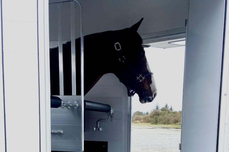 Cheval Liberté Touring XL hestehenger