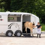 Cheval Liberté MAXI 3 Living hestehenger med bo- del