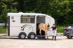 Cheval Liberté MAXI 3 Living hestehenger med bo- del